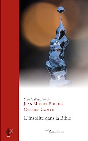 Téléchargez le livre :  L'insolite dans la Bible