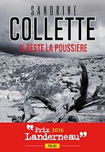 Télécharger le livre :  Il reste la poussière : Prix Landerneau Polar 2016