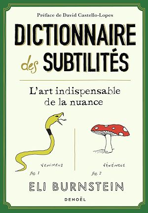 Téléchargez le livre :  Dictionnaire des subtilités. L'art indispensable de la nuance