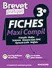 Télécharger le livre :  Brevet Pratique : Fiches Maxi Compil - Examen 3e