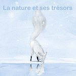 Télécharger le livre :  La nature et ses trésors