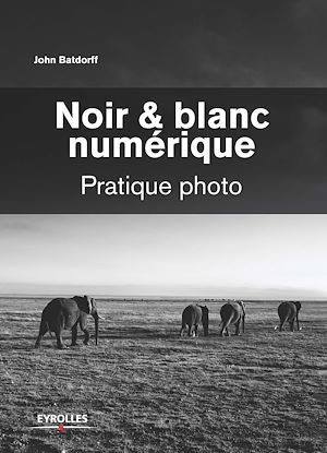 Download the eBook: Noir et blanc numérique