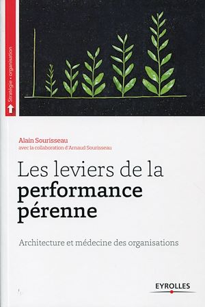 Téléchargez le livre :  Les leviers de la performance pérenne