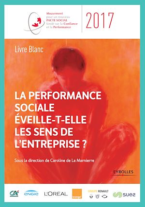 Téléchargez le livre :  La performance sociale éveille-t-elle les sens de l'entreprise ?