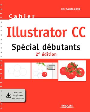 CAHIER ILLUSTRATOR CC - SPECIAL DEBUTANTS
