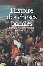 Télécharger le livre :  Histoire des choses banales
