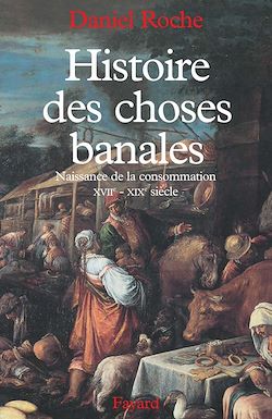 Télécharger le livre :  Histoire des choses banales