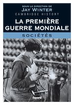 Télécharger le livre :  La Première Guerre mondiale - tome 3