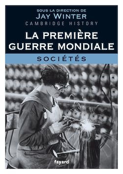 Télécharger le livre :  La Première Guerre mondiale - tome 3