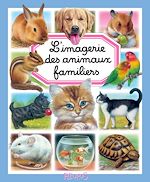 grande couv