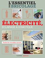 Download this eBook Électricité, Éclairage et Domotique (L'essentiel du bricolage)