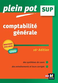 Téléchargez le livre :  Comptabilité générale 16e édition - Plein Pot - N°29 - Révision et entraînement