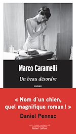 Télécharger le livre :  Un beau désordre