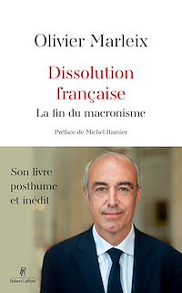 Téléchargez le livre :  Dissolution française - La fin du macronisme