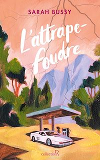 Téléchargez le livre :  L'Attrape-foudre