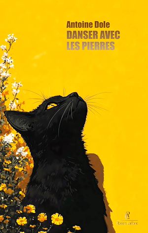 Téléchargez le livre :  Danser avec les pierres