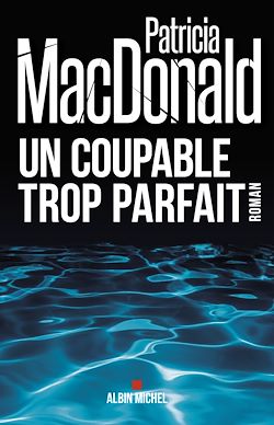 Télécharger le livre :  Un coupable trop parfait