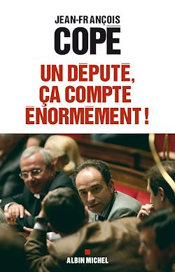 Télécharger le livre :  Un député, ça compte énormément !