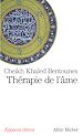 Télécharger le livre :  Thérapie de l'âme