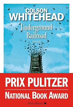 Télécharger le livre :  Underground Railroad