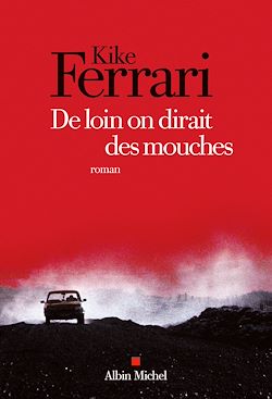 Télécharger le livre :  De loin on dirait des mouches