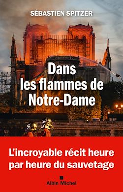 Télécharger le livre :  Dans les flammes de Notre-Dame