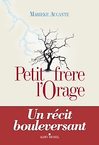 Téléchargez le livre :  Petit Frère l'Orage