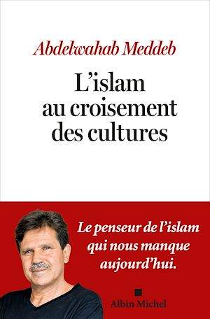 Téléchargez le livre :  L'Islam au croisement des cultures