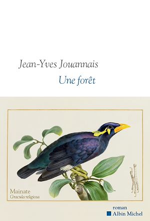 Une forêt | Jouannais, Jean-Yves (1964-....). Auteur