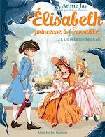Télécharger le livre :  Un bébé tombé du ciel