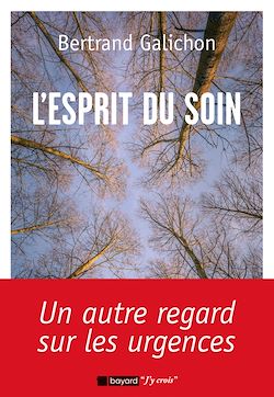 Télécharger le livre :  L'esprit du soin