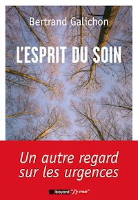 Téléchargez le livre :  L'esprit du soin