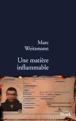 Download this eBook Une matière inflammable