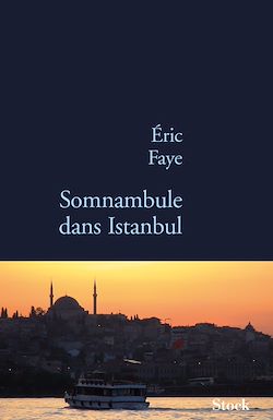 Télécharger le livre :  Somnambule dans Istanbul