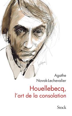Télécharger le livre :  Houellebecq, l'art de la consolation