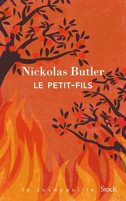 Télécharger le livre :  Le petit-fils