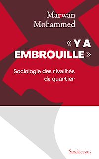 Téléchargez le livre :  Y a embrouille