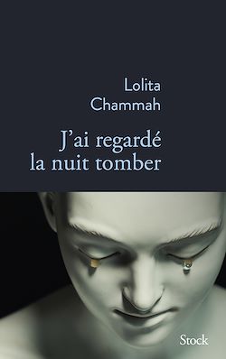 Télécharger le livre :  J'ai regardé la nuit tomber