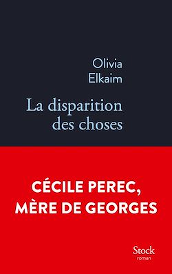 Télécharger le livre :  La disparition des choses