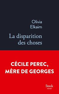 Téléchargez le livre :  La disparition des choses