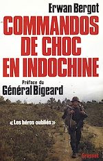 Télécharger le livre :  Commandos de choc en Indochine