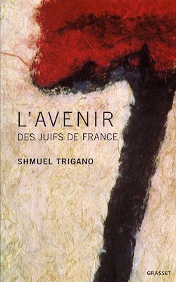 Télécharger le livre :  L'avenir des juifs de France