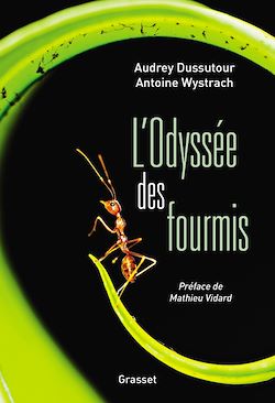 Télécharger le livre :  L'Odyssée des fourmis