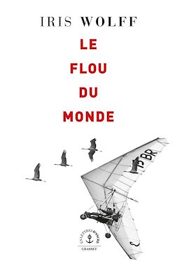 Télécharger le livre :  Le flou du monde