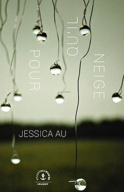 Télécharger le livre :  Pour qu'il neige