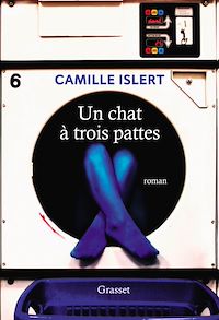 Téléchargez le livre :  Un chat à trois pattes