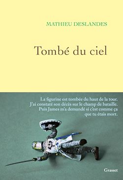 Télécharger le livre :  Tombé du ciel