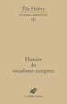 Télécharger le livre :  Histoire du socialisme européen