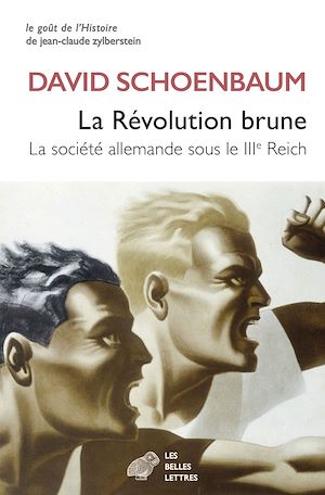 Téléchargez le livre :  La Révolution brune