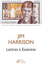 Download this eBook Lettres à Essenine